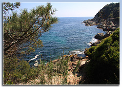 Cala Banys, Lloret de Mar